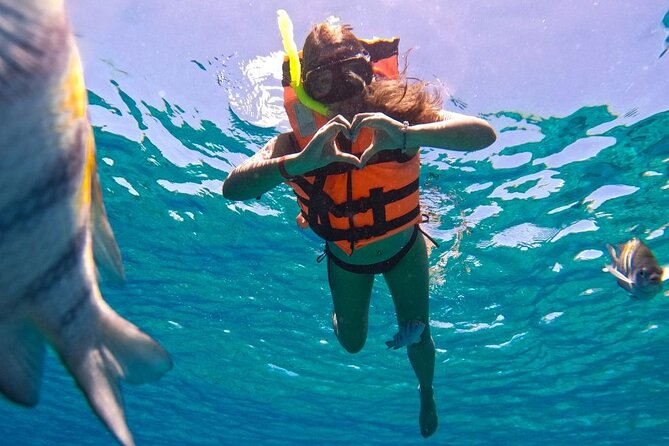 Magnificent Exploration to El Cielo Palancar and Columbia Reefs - Palancar Reef: A Sanctuary for Sea Turtles and Tropical Fish