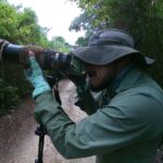 Mahahual and Costa Maya Birdwatching - Highlights of the Birding Locations: Mangroves, Jungle, and Grasslands