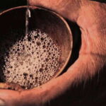 Mahahual: Authentic Mezcal & Tequila Tasting Experience - From the Meeting Point to the Spirit of Oaxaca