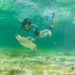 Mahahual: Snorkeling Boat Tour - What You Can Expect During the Snorkeling Experience