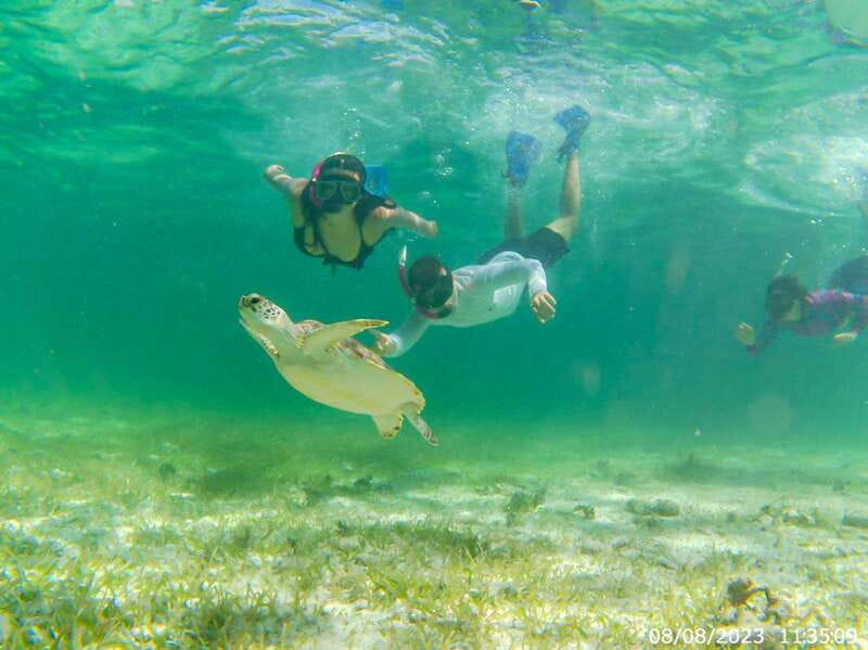 Mahahual: Snorkeling Boat Tour - What You Can Expect During the Snorkeling Experience