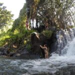 Mahina Hawaii Full Day Adventure - Exploring the Hidden Spots of Oahu