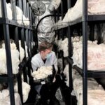 Makars Mushroom Farm Summerhall Tour with DIY Block Making - Discover Fungi in Edinburgh with a Budget-Friendly Mushroom Farm Tour