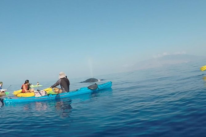 Makena Whale Watching and Snorkel - Starting Point at Makena Landing Park in South Maui