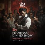 Malaga: Authentic Flamenco Dinner Show at Restaurant VinoMio - Location and Meeting Point at VinoMio in Malaga