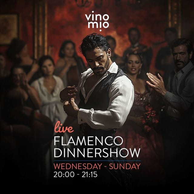 Malaga: Authentic Flamenco Dinner Show at Restaurant VinoMio - Location and Meeting Point at VinoMio in Malaga