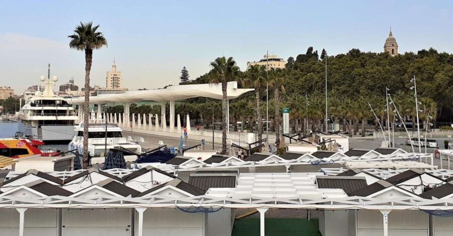 Malaga: Private walking tour - Starting Point in Malaga’s Historic Center: Plaza de la Aduana