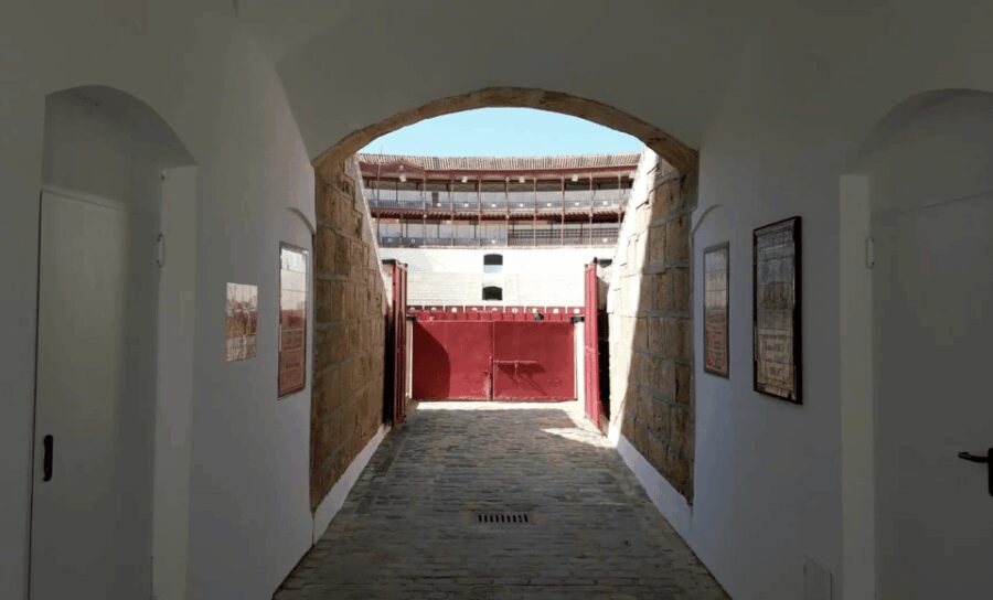 Malaga: Tour of Malagueta Bullring & Immersive Exhibition - Discover the History and Significance of the Malagueta Bullring