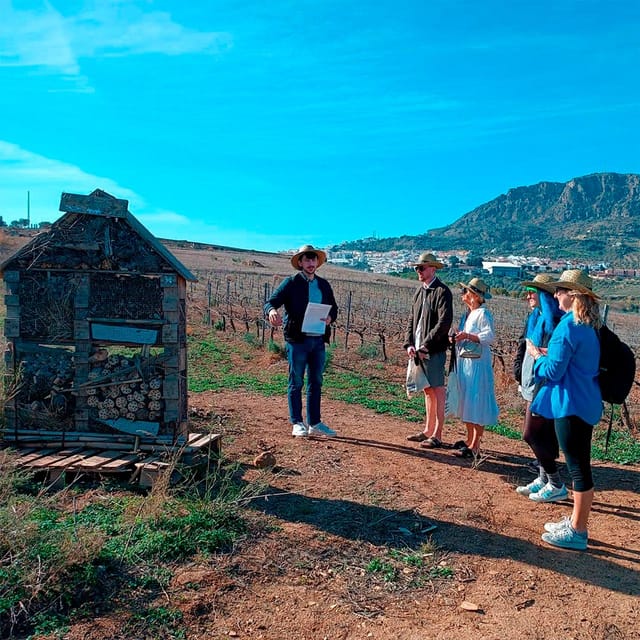 Malaga: White Village, Vineyard, and Wine Tasting Wine Tour - Convenient Pickup and Drop-Off Locations in Malaga