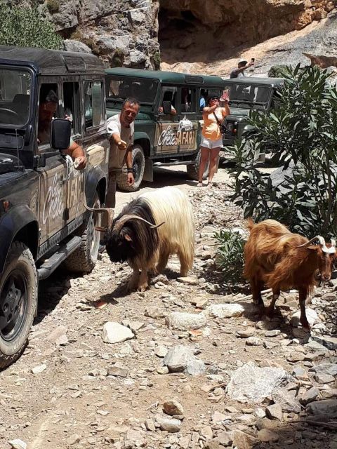 MALIA: East Crete Famous Places (Family and Child Friendly) - Discovering Spinalonga and Elounda’s Coastal Charm