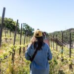 Malibu: Guided Vineyard Hike with Photo Stops and Wine - Starting Point and Meeting Logistics in Malibu