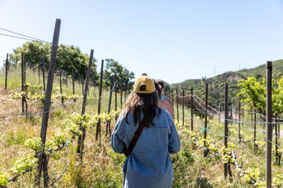Malibu: Guided Vineyard Hike with Photo Stops and Wine - Starting Point and Meeting Logistics in Malibu