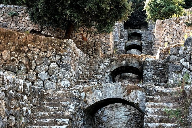 Mallorca: 5-hours Hidden Marvels Tour - Discovering the Olive Oil Tradition at Can Det