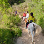 Mallorca: Activity, Antique Mallorca with Picnic - The Randa Valley Setting and Scenic Views
