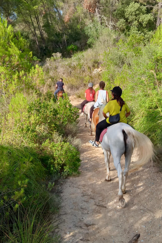 Mallorca: Activity, Antique Mallorca with Picnic - The Randa Valley Setting and Scenic Views