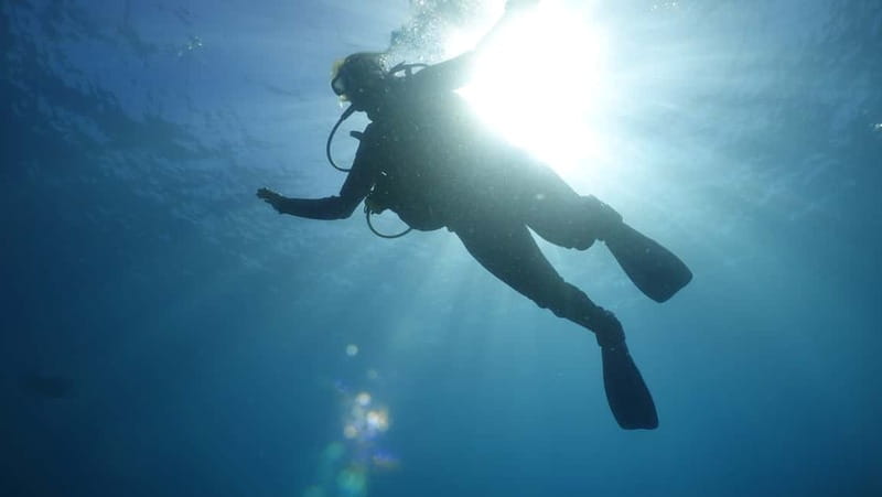 Mallorca: Discover Scuba Diving from the boat - From The Meeting Point to the Marine Depths