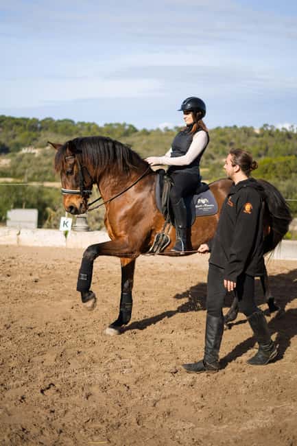 Mallorca: Spanish Classical High School Riding Lesson - The Location and Setting of the Riding Lesson in Mallorca
