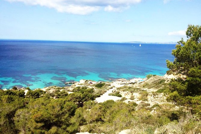 Mallorca: Try Scuba Diving in a Beautiful Nature Reserve - Starting at Cala Delta Bay in Mallorca’s Nature Reserve