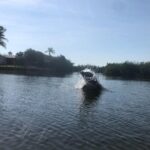 Manatee and Dolphin Kayak Tour - What Makes This Tour Unique: Kayaking Through Mangrove Tunnels and Canals