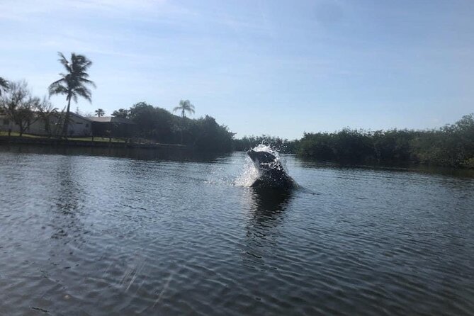 Manatee and Dolphin Kayak Tour - What Makes This Tour Unique: Kayaking Through Mangrove Tunnels and Canals