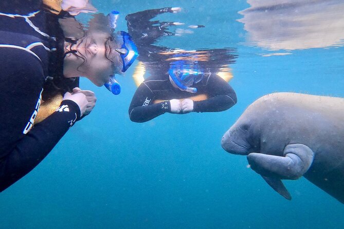 Manatee Magic Private 3 Hour Swim Heated Boat with Restroom - The Location: Crystal River and Homosassa River