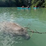 Manatee Season Guided Paddle Tour from Virginia Key - Scenic Spots Including Lamar Lake, Biscayne Bay, and the Atlantic Coast