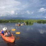 Manatees and Mangrove Tunnels Small Group Kayak Tour - From the Tamiami Trail to the Wildlife Refuge