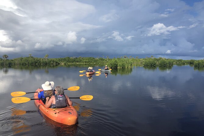 Manatees and Mangrove Tunnels Small Group Kayak Tour - From the Tamiami Trail to the Wildlife Refuge