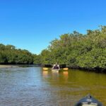 Manatees, Grasslands and Mangroves kayak Tour (Small Group Tour) - The Distinctive Route Through Naples’ Natural Waters
