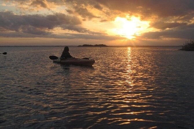 Manatees/Sunset/Bioluminescence Tour - Starting Point at Haulover Canal Kayak Launch