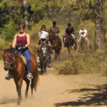 Manavgat Side: Horse Riding on the Beach and in the Forest - Convenient Pickup from Side and Manavgat Hotels