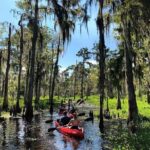 Manchac Swamp EXTENDED Kayak Tour with Pickup - Starting Point and Logistics Details