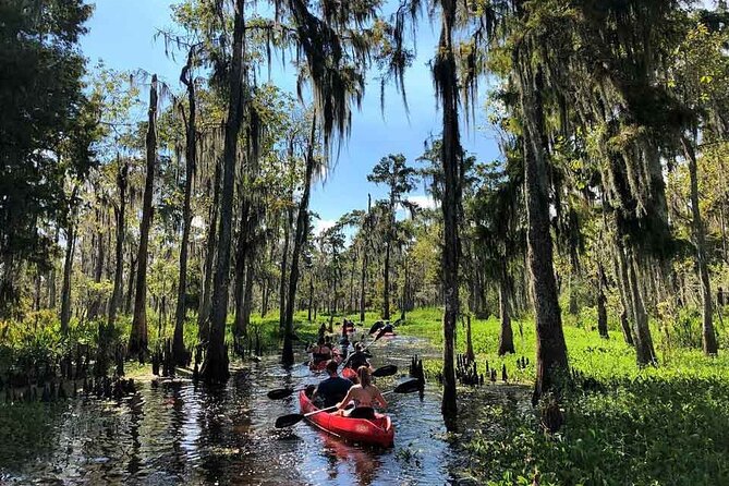 Manchac Swamp EXTENDED Kayak Tour with Pickup - Starting Point and Logistics Details