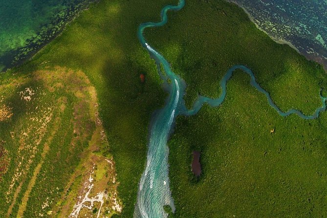 Mangrove and Lagoon Speed Boat Tour - Starting Point and Tour Duration