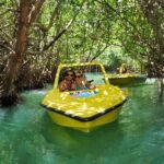 Mangrove Jungle Speedboat Experience - The Joy of Piloting Your Own Speedboat in Nichupte Lagoon
