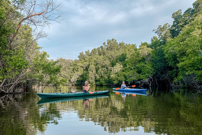 Mangrove Kayaking Tour - Kayaking Through the Lagoon and Mangrove Tunnels