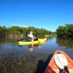 Mangrove Tunnel Kayak Adventure in Key Largo - The Role of Expert Guides in Your Adventure