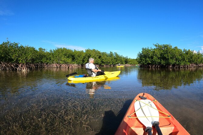 Mangrove Tunnel Kayak Adventure in Key Largo - The Role of Expert Guides in Your Adventure