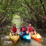 Mangrove Tunnel Kayak Eco Tour - What to Expect at West Lake Park