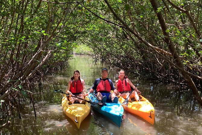 Mangrove Tunnel Kayak Eco Tour - What to Expect at West Lake Park