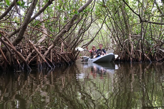 Mangrove Tunnels, Dolphins, Manatee Tour #1 Rated in Cocoa Beach - Exploring the Mangrove Tunnels in Cocoa Beach