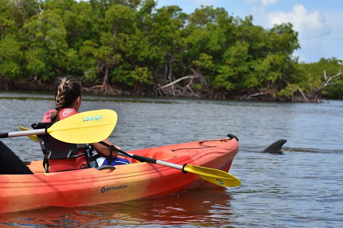 Mangrove Tunnels Kayak Tour (Photographer Included)- Marco Island - Starting Point and Booking Details