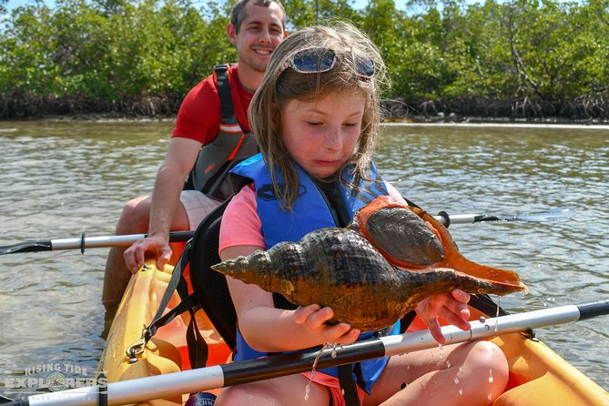 Mangrove Tunnels & Mudflats Kayak Tour - Local Biologist Guides - Wildlife Encounters During the Kayak Tour