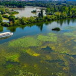Mantua: Panoramic Cruise with Guide, Natural Oasis and Water Elevator - Departure From the Heart of Mantua at Navi Andes