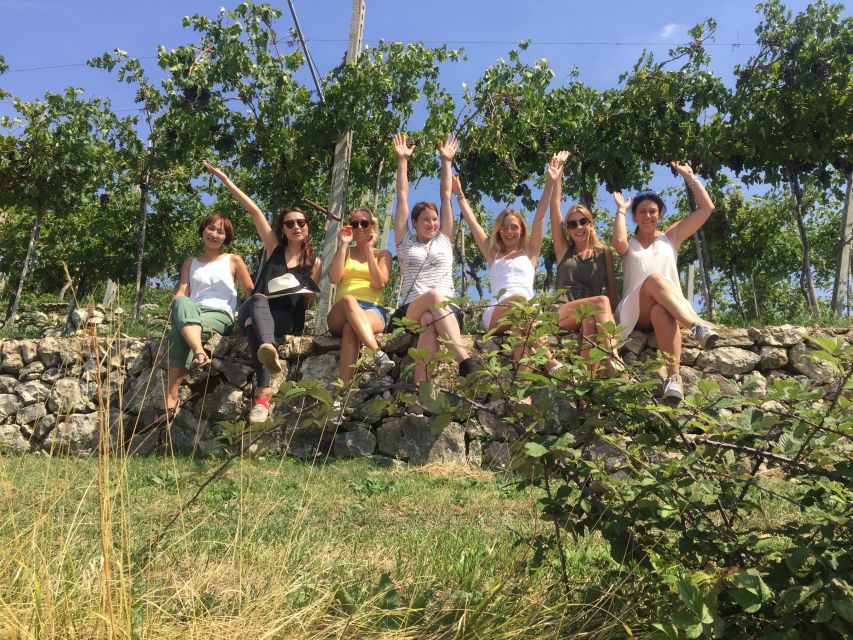 Marano di Valpolicella: DOP Olive Oil Tasting Experience - Starting at Tenuta Santa Maria Valverde