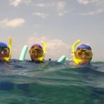 Marathon Key: 3-hour Snorkeling adventure on a Pontoon at Sombrero Reef - The Lighthouse and Marine Environment of Sombrero Reef