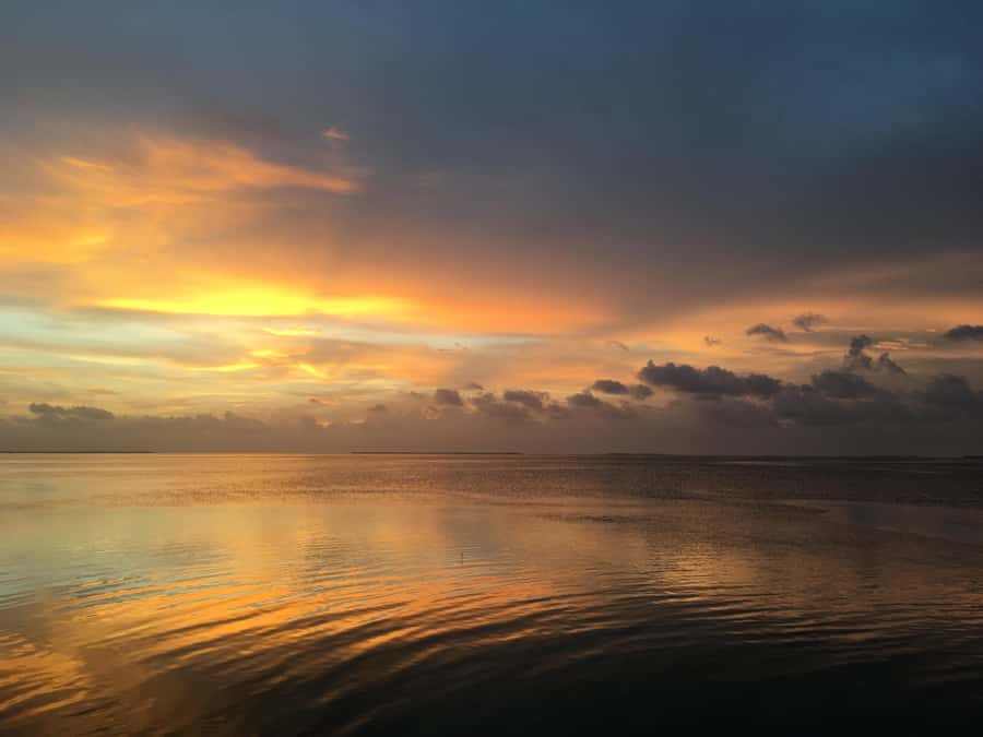 Marathon Key FL: Snorkel Trips and Sunset Cruises - The Snorkel Trip at Vibrant Reef Locations in Marathon