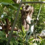 Marbella: Private Tour of the Historic Center - Starting Point at Fuente Virgen del Rocío