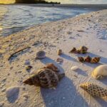 Marco Island: 2 Private Hour Sunset Boat Tour - Meeting Point and Logistics for the Tour