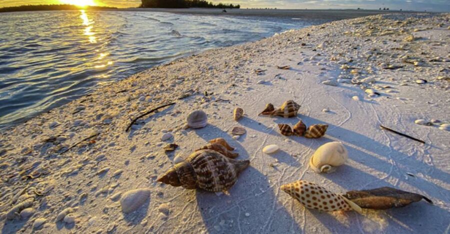 Marco Island: 2 Private Hour Sunset Boat Tour - Meeting Point and Logistics for the Tour